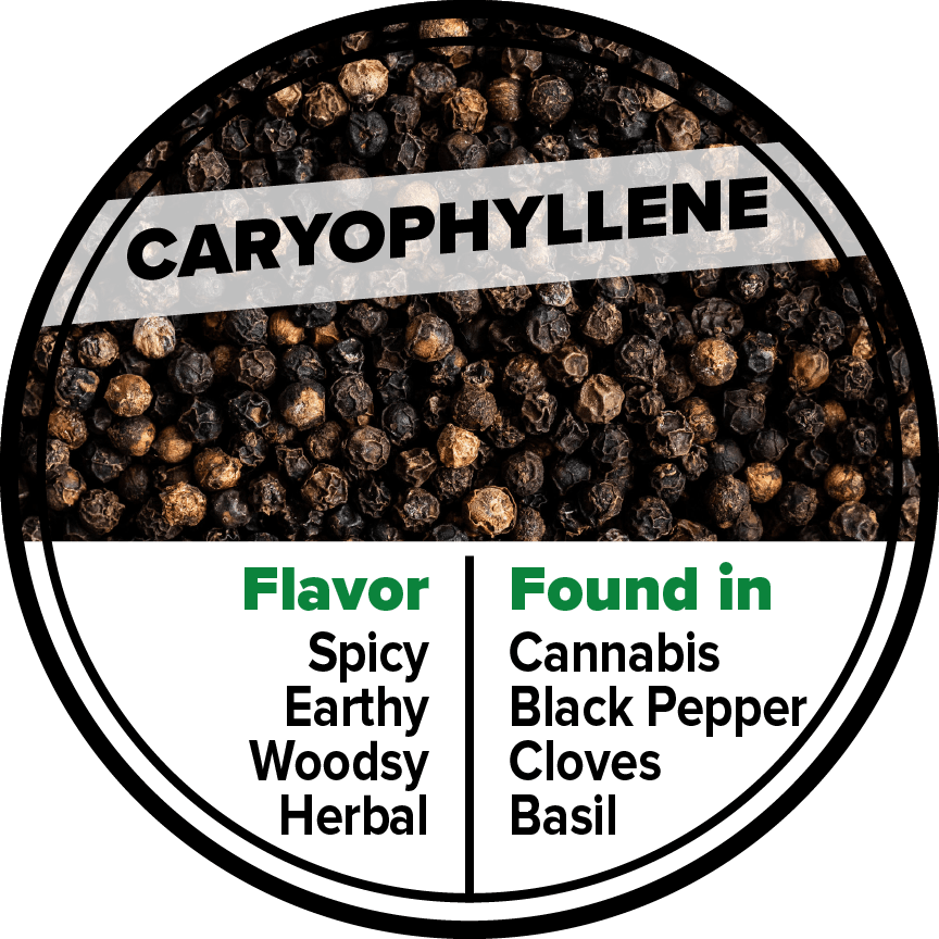 caryophyllene